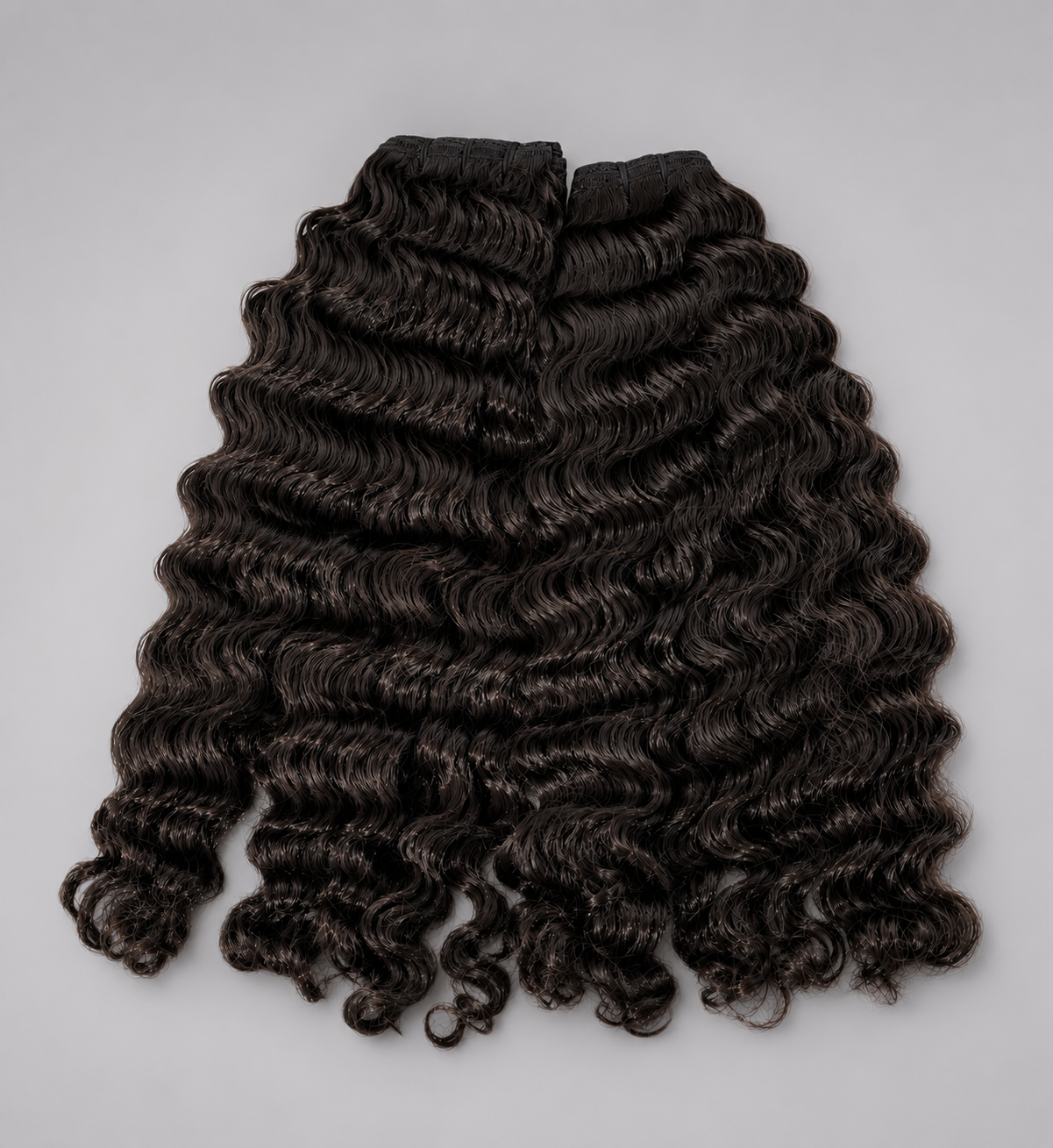 BURMESE CURLY